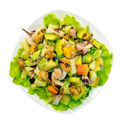Salad seafood and avocado in plate on top