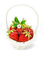 Strawberry in wicker basket with leaves