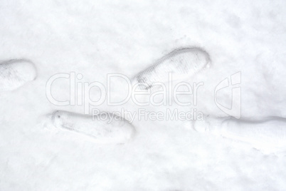 Tracks person in snow