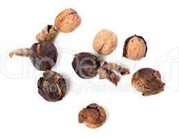 Crude walnuts