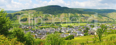 Wintrich an der Mosel Panorama