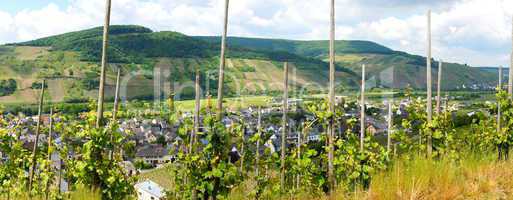 Wintrich an der Mosel Panorama