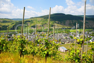 Wintrich an der Mosel..