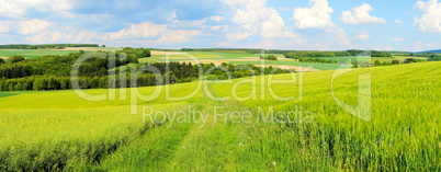 grüne Frühlingslandschaft Panorama