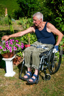 Rollstuhlfahrer bei Gartenarbeit