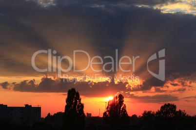 summer sunset with dark sky and sunny beams