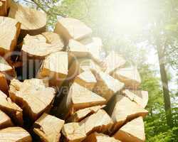 Holzstapel in der Sonne