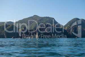 Scenic View of Rocky Coastline and Lush Mountains