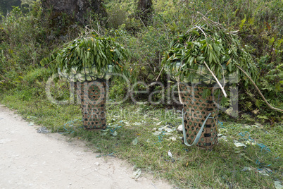 Baskets Filled with Green Harvest at Side of Road