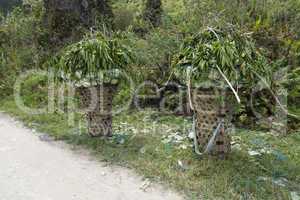 Baskets Filled with Green Harvest at Side of Road