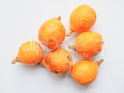 Loquat fruit