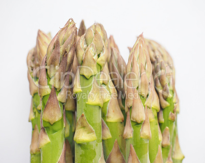 Asparagus vegetable