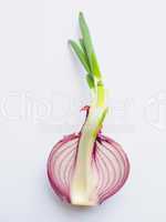 Red onions vegetable sliced