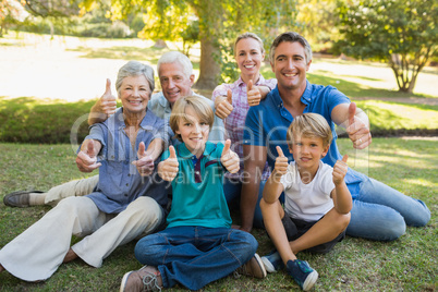 Happy family gesturing thumbs up in the park