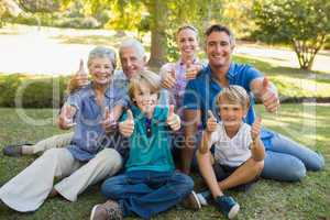 Happy family gesturing thumbs up in the park