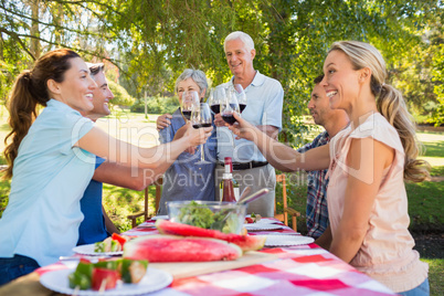 Happy seniors toasting with their family