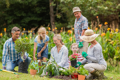 Happy family gardening