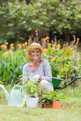 Happy grandmother gardening