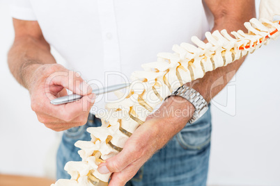 Doctor showing anatomical spine