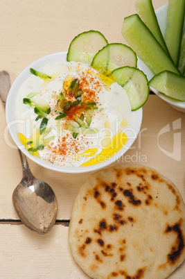 Arab middle east goat yogurt and cucumber salad