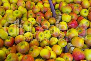 Äpfel auf einem Wochenmarkt