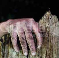 Dirty hand of a man on the edge of a broken fence