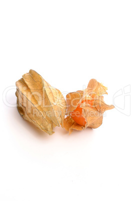 Physalis fruit