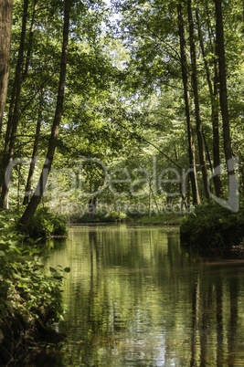 Spreewald 5