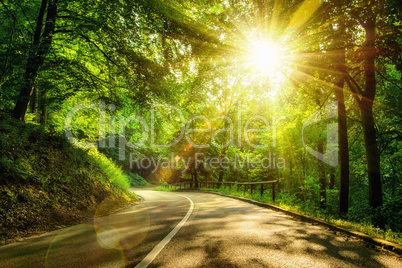 Stimmungsvolle Straße im Wald