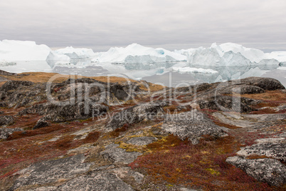Arctic landscape in Greenland