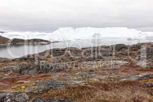 Arctic landscape in Greenland with icebergs