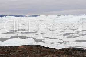 Arctic landscape in Greenland with icebergs