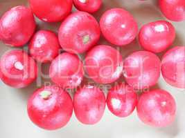 Radish vegetable