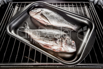 Dorado fish in the oven.