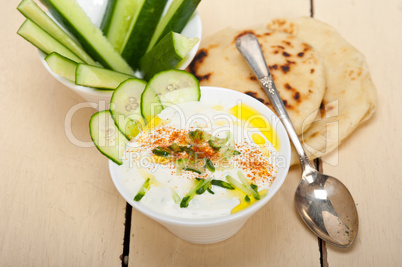 Arab middle east goat yogurt and cucumber salad