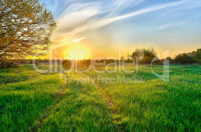 Landscape with the sunrise over the meadow