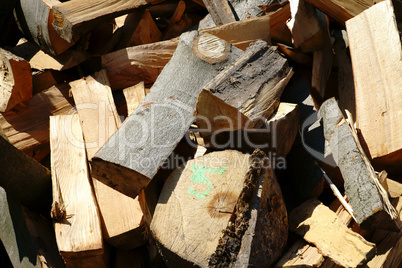 Detail of dry firewood