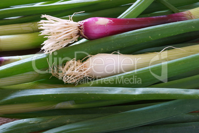 Fresh green onions