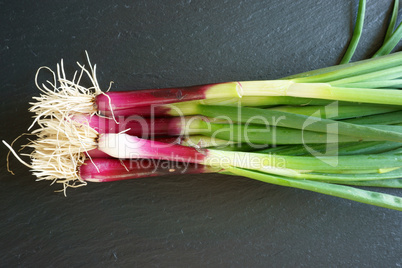 Fresh Spring Onions on a platte