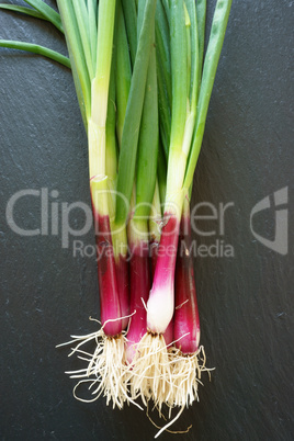 Onions on a cutting board