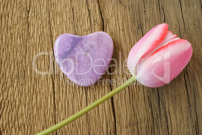 Single pink tulip and a stone heart