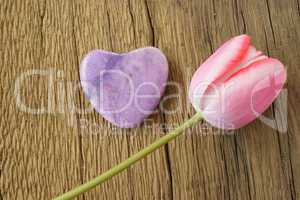 Single pink tulip and a stone heart