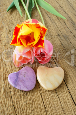 Three tulips and two stone hearts