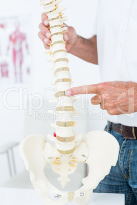 Doctor showing anatomical spine