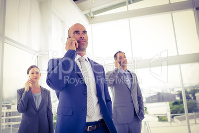 Business team on their phones