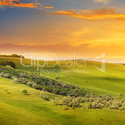 scenic fields, hills and sunrise