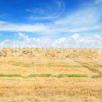 Field with Stacks of straw and blue sky