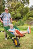 Happy grandfather and his granddaughter with a wheelbarrow