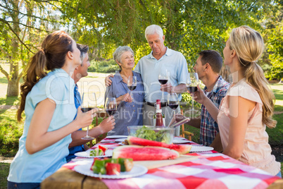 Happy seniors toasting with their family