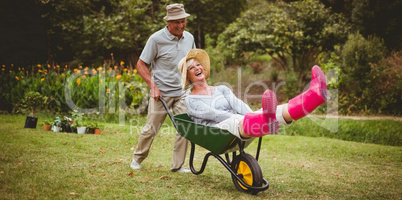 Happy senior couple playing with a wheelbarrow Happy senior couple playing with a wheelbarrow
